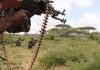 Somalia: SNA Retakes Darrusalam Village in Lower Shabelle Region