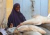 Men don’t trust we’re strong enough’: Somali women push into fish industry